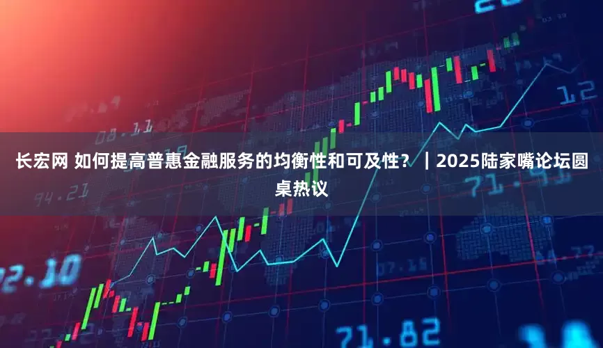 长宏网 如何提高普惠金融服务的均衡性和可及性？｜2025陆家嘴论坛圆桌热议