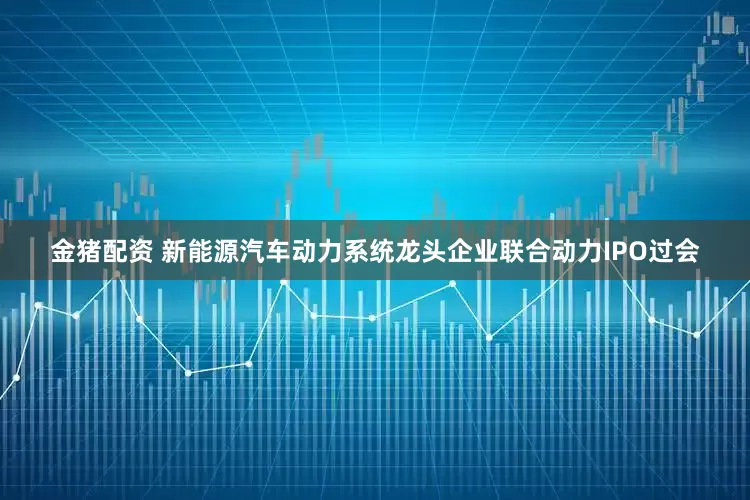 金猪配资 新能源汽车动力系统龙头企业联合动力IPO过会