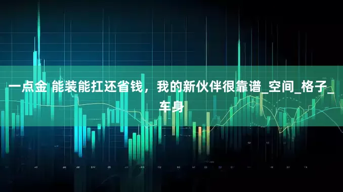 一点金 能装能扛还省钱，我的新伙伴很靠谱_空间_格子_车身
