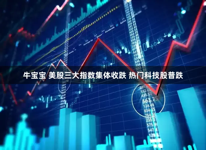牛宝宝 美股三大指数集体收跌 热门科技股普跌