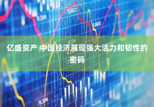 亿盛资产 中国经济展现强大活力和韧性的密码
