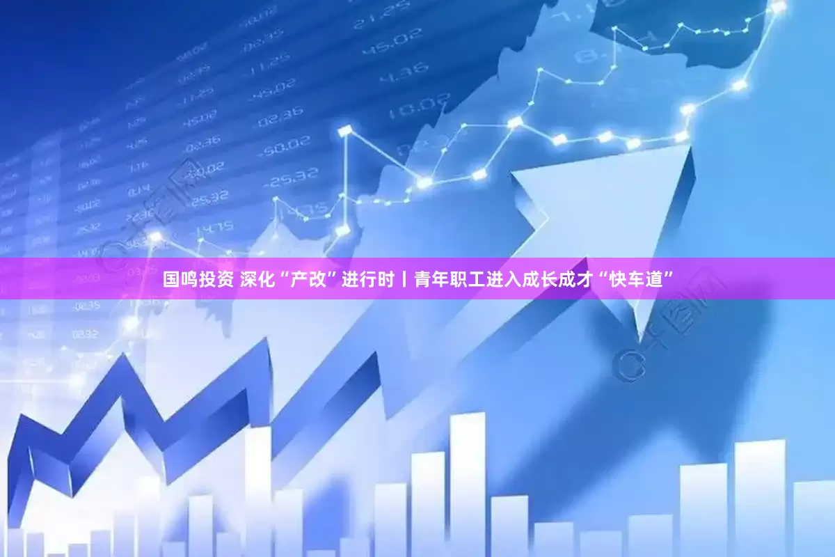 国鸣投资 深化“产改”进行时丨青年职工进入成长成才“快车道”