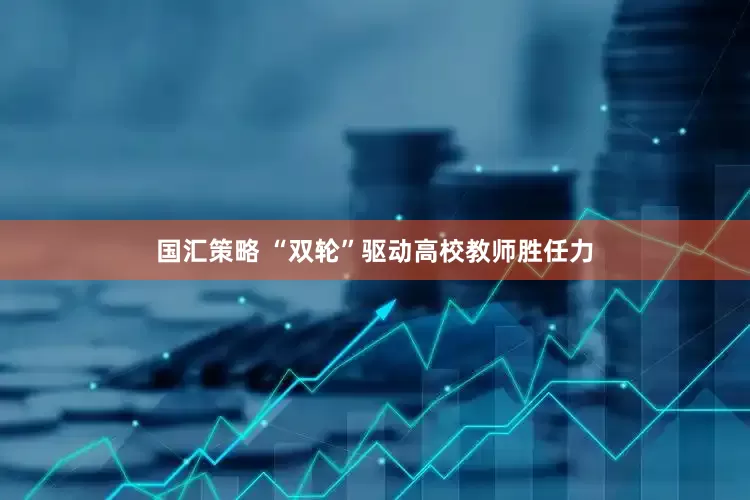 国汇策略 “双轮”驱动高校教师胜任力