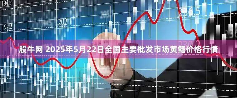 股牛网 2025年5月22日全国主要批发市场黄鳝价格行情