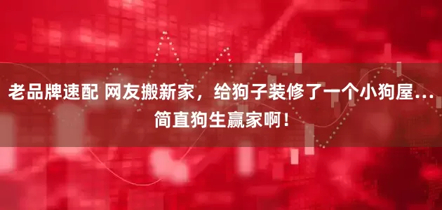 老品牌速配 网友搬新家，给狗子装修了一个小狗屋…简直狗生赢家啊！